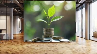 a young plant growing out of a stack of coins,  investment and growth concept Wall mural