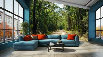 The sandy off-road bush track leads deep into the forest, framed by tall trees and the open sky, ideal for wilderness scenes Wall mural