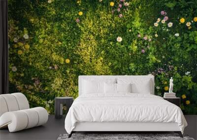 Top-down shot of a sunny field of green grass and wildflowers, perfect for a summer or spring scene. Wall mural