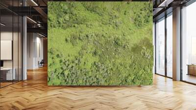 Top View Aerial Photograph of Grassland Wall mural