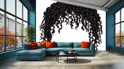 trendy curly disheveled african black  hair  . realistic  3d . fashion beauty style .unisex women  men.afro Wall mural