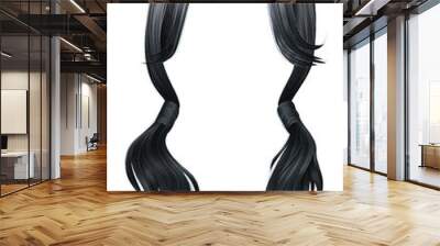 trendy women hairs gray silver colour.two Pigtails . 
 fashion beauty style .
 Wall mural