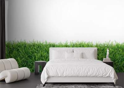 Grass isolated on white background. Wall mural