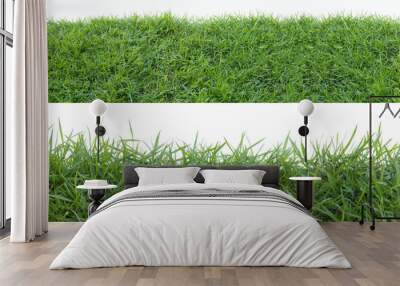 Grass isolated on white background. Wall mural