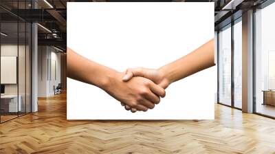 Shaking hands  isolated on white. Wall mural