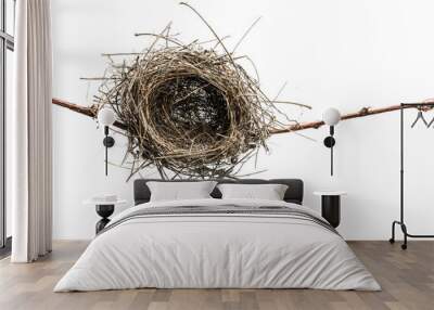 Empty bird nest. Lonely bird nest isolated on white.    Wall mural