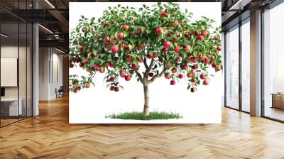 Orchard tree with ripe red apples on a transparent background Wall mural