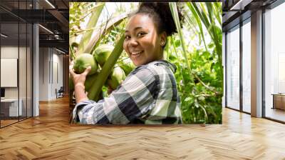 Charming farmer woman check quality of coconut in farm and showing natural fruit hanging on palm tree. Happy African girl on tropical vacation holidays. Wall mural