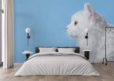 white cat on blue background Wall mural