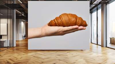 Croissant in male hand isolated on gray background. Copy space close up Wall mural