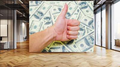 Earnings of money Symbol thumbs up Business concepts Wall mural