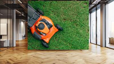 Lawn mowers cut grass. Garden work concept background Wall mural