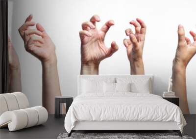 Set of female hands showing different gestures isolated on white background. Wall mural