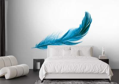 a blue feather on a white isolated background Wall mural