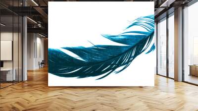 a blue feather on a white isolated background Wall mural