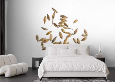 barley grains on a white background Wall mural