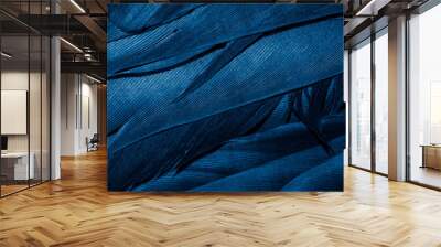 blue feathers with visible details, background or texture Wall mural