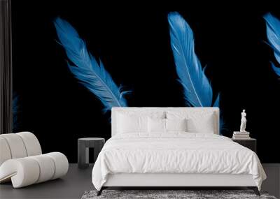 blue goose feather on black isolated background Wall mural