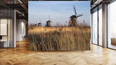 dutch windmill in the netherlands Wall mural