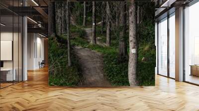 A forest path in summer on the island of Frösön in northern Sweden Wall mural