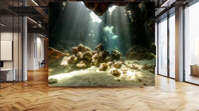 Underwater canyon Wall mural