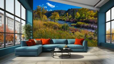 East River near Taylor HWY 135 Colorado Fall Landscape Wall mural