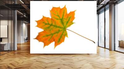 autumn leaves isolated Wall mural