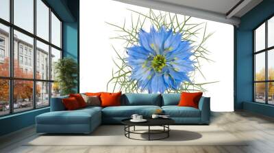 blue nigella isolated Wall mural