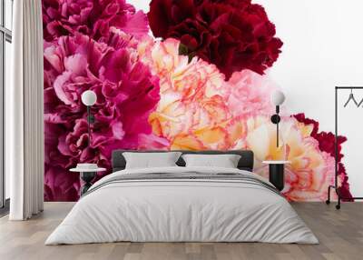 carnation isolated on white background isolated Wall mural