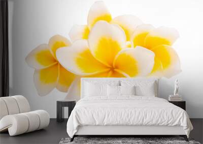 frangipani isolated Wall mural