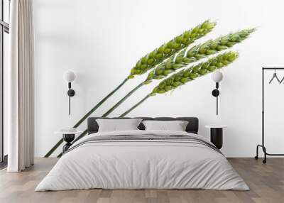 green ears of wheat isolated Wall mural