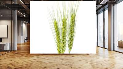 Green wheat ears isolated Wall mural