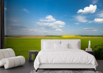 green wheat field in spring on a sunny day Wall mural