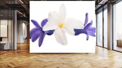 hyacinth flower isolated Wall mural