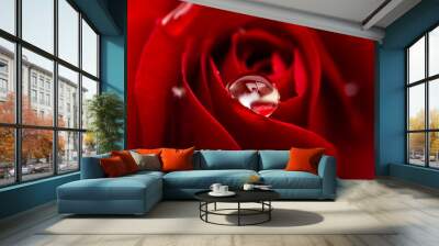 red rose with drops close-up Wall mural