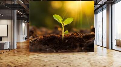 Green seedling emerging from rich soil, reaching towards sun for fresh start and new beginnings Wall mural