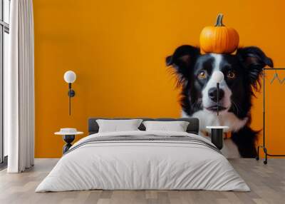 Halloween dog costume. Banner with copy space for text. Cute puppy wearing funny homemade full body bat costume in front of orange background Wall mural