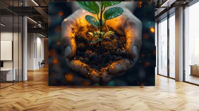 Hands gently holding a small green seedling planted in rich soil, symbolizing growth, care, and environmental stewardship

 Wall mural