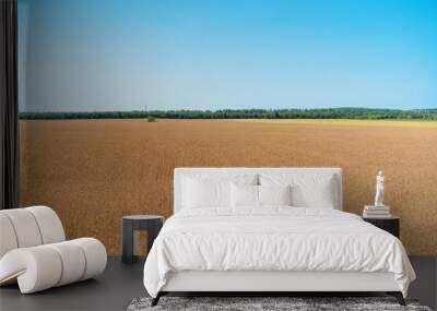 A field of rye or wheat on a Sunny summer day Wall mural