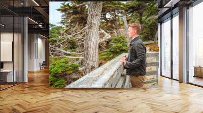 A young man walks in the park near a lonely cypress tree and admires the ocean in California Wall mural