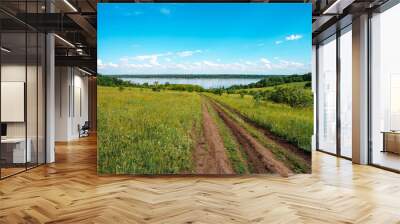 Agricultural scenic field of green herbaceous plants and wild flowers. Dirt road and dirt road, river and forest in the distance on the background of a blue sky with clouds Wall mural