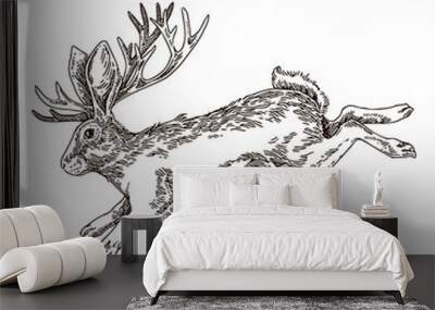 Jackalope. Hate with horns jumping. Sketch. Engraving style. Vector illustration Wall mural