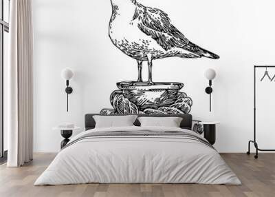 Seagull on mooring. Sketch. Engraving style. Vector illustration. Wall mural