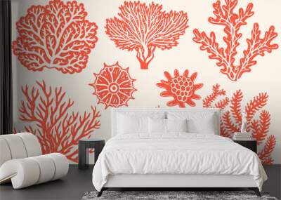 Set of sea shells, algae and starfish. Vector illustration isolated Wall mural