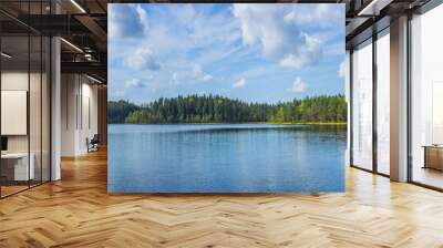 Panoramic view of beautiful forest lake in Russia. Wall mural