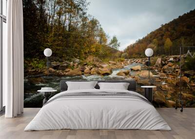 rapid flow of a mountain river with clear water among the trees in late autumn Wall mural