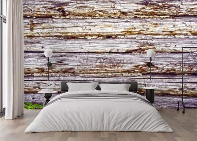 wall of old wooden house log Wall mural