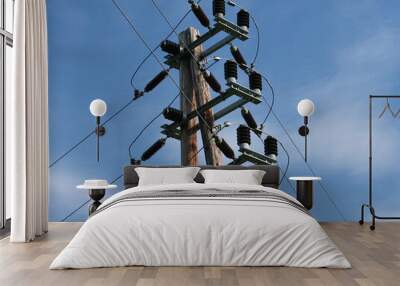 Power line in Austria, Europe
 Wall mural