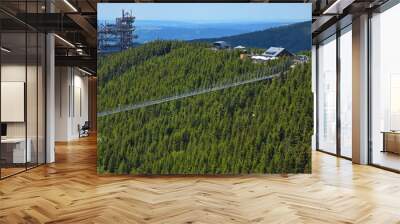 View of sky walk and sky bridge 721 in Dolni Morava in Kralicky Sneznik, Czech Republic, Europe, Central Europe
 Wall mural