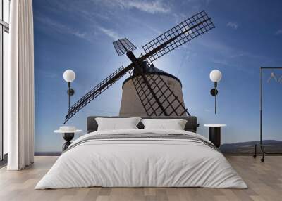 Windmill in Consuegra,Castile–La Mancha,Spain,Europe
 Wall mural